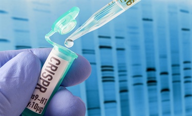 CRISPR: A potential paradigm shift  in the fight against cancer